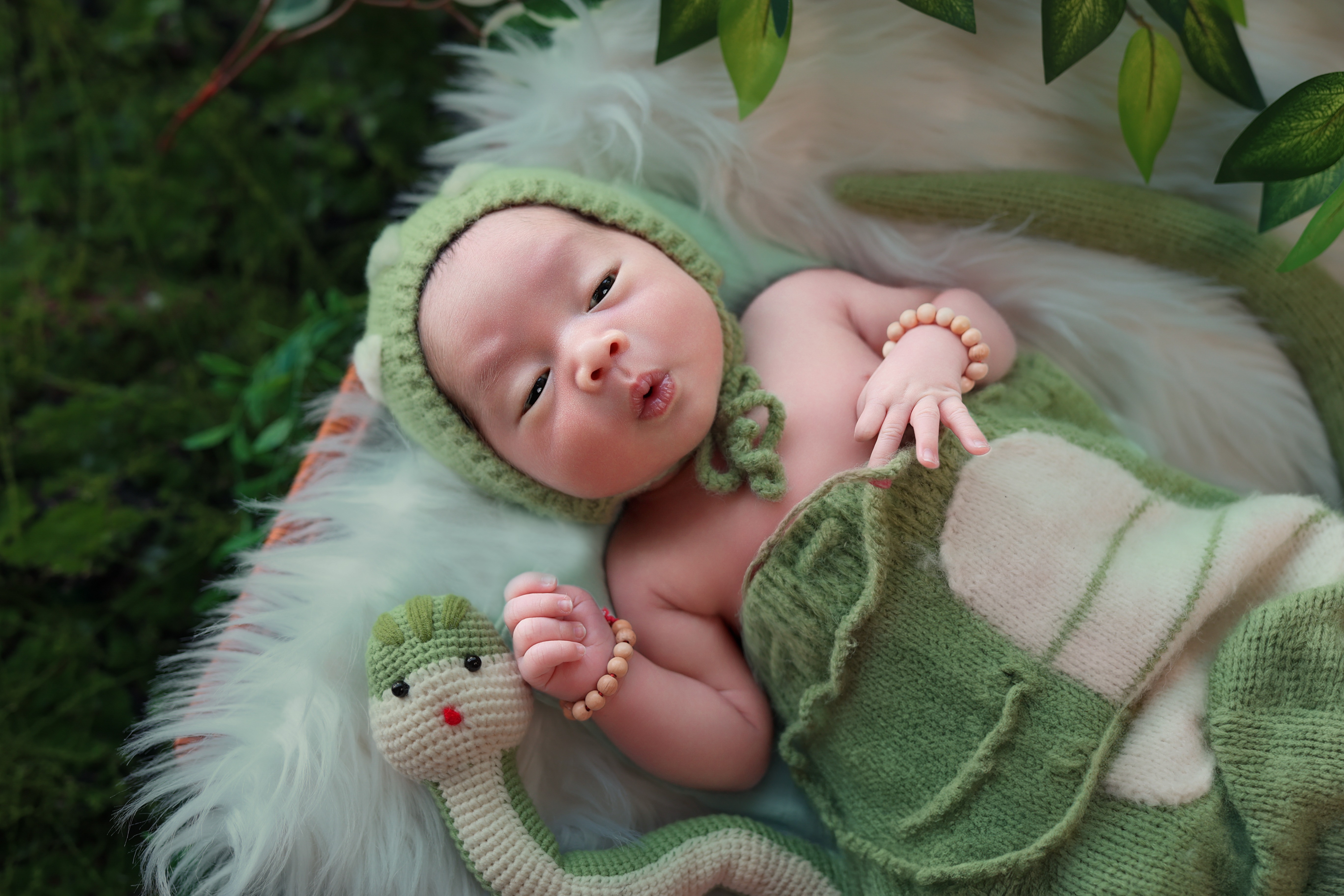 Ảnh Newborn